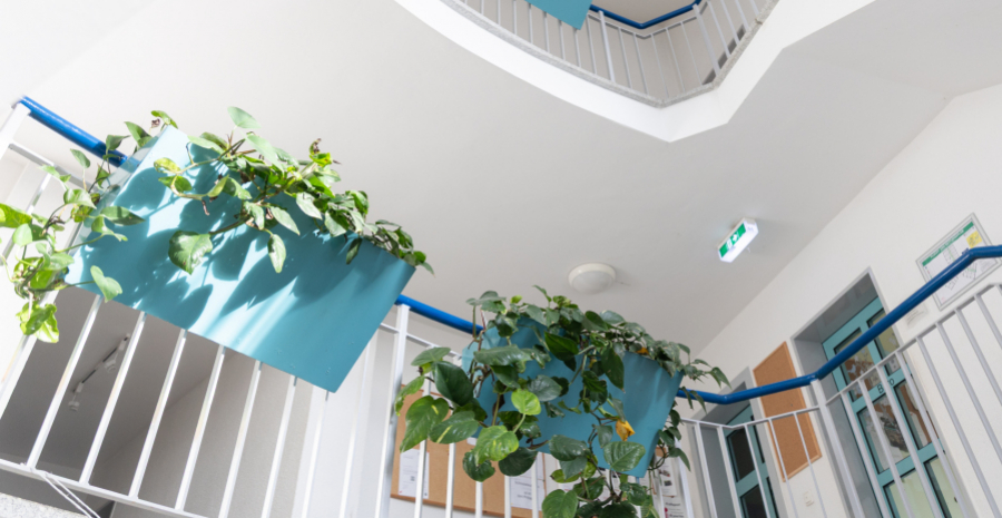 Treppenhaus mit Blumenkästen, von unten nach oben aufgenommen
