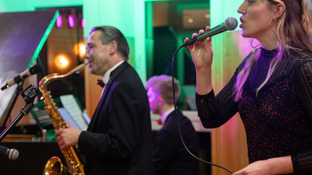 Saxofonist und S&auml;ngerin im gr&uuml;nen Rampenlicht