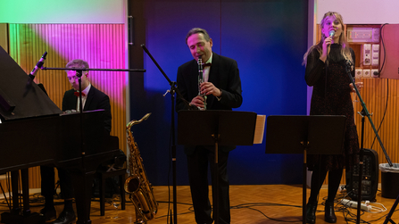 Frontale Aufnahme der Band auf Pianist, Saxofonist und S&auml;ngerin