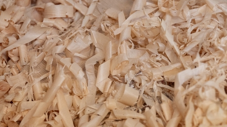S&auml;gesp&auml;ne in der Holzwerkstatt des KBBW
